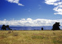 new zealand - north island view.jpg